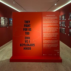 Exposição «They fight for us too».