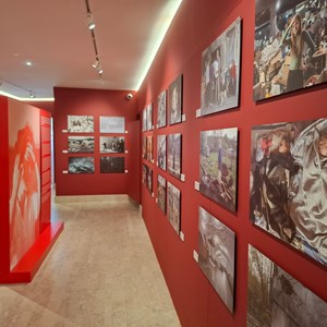 Exposição «They fight for us too».