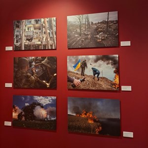 Exposição «They fight for us too».