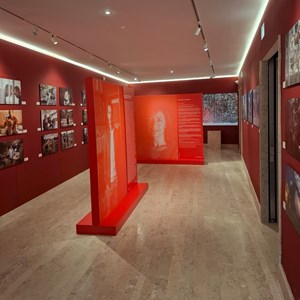 Exposição «They fight for us too».