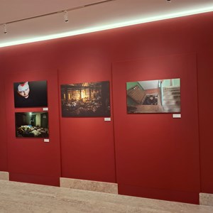 Exposição «They fight for us too».