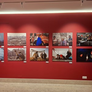 Exposição «They fight for us too».