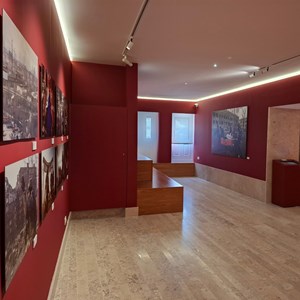Exposição «They fight for us too».